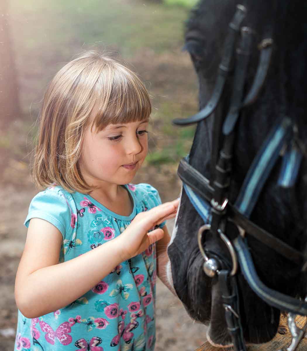 Little girl petting a pony