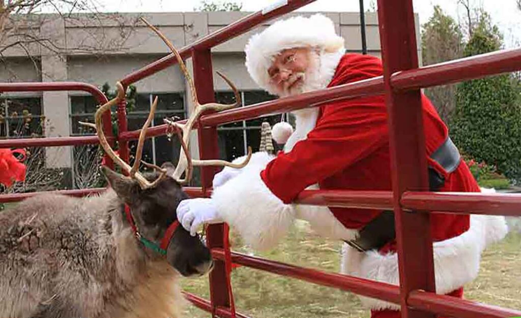 Reindeer Rentals Pettit Creek Farms