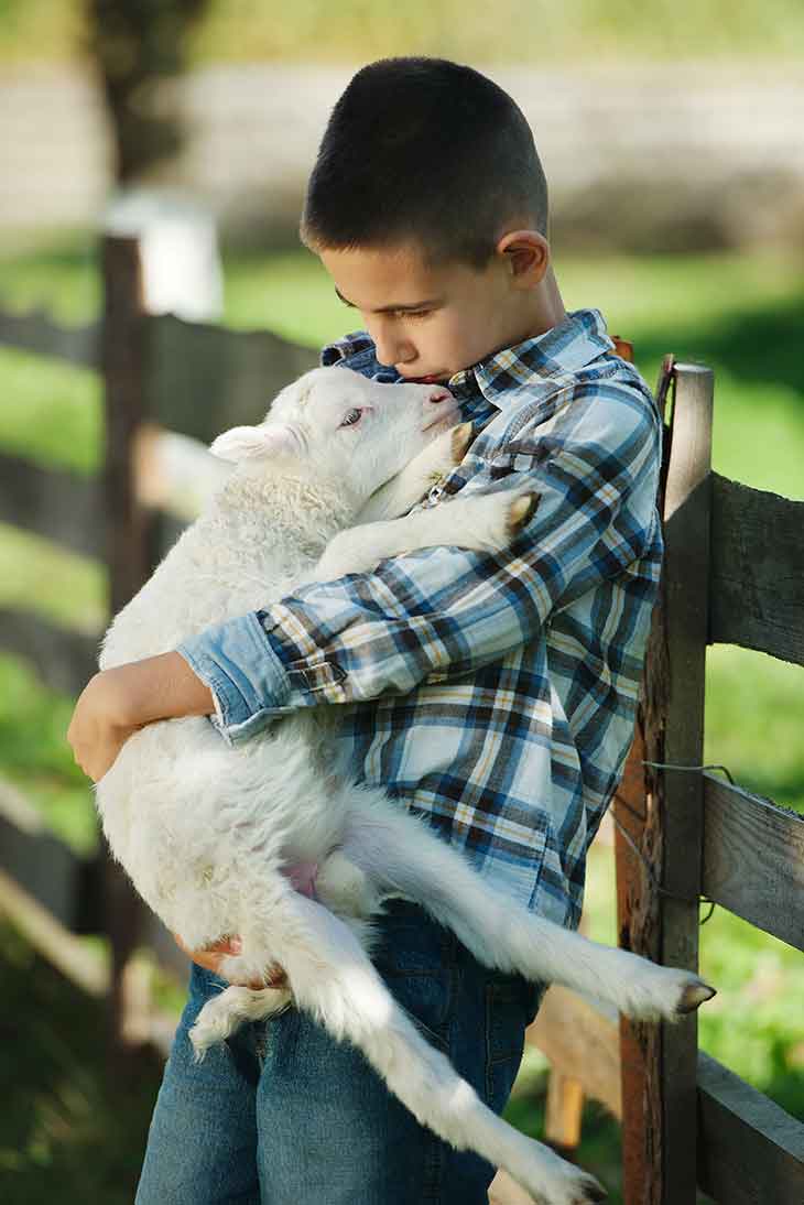 Boy holding lamb