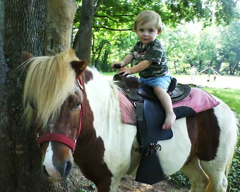 Pony Ride