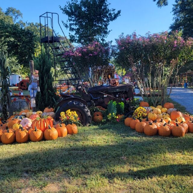 Pettit Creek Farms